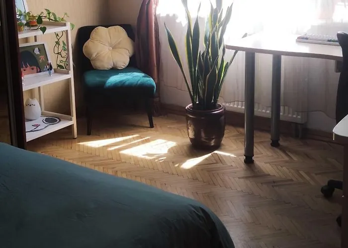 Cozy Room In Kaunas
